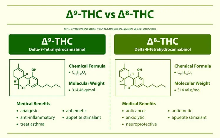 delta 8 und delta 9 thc