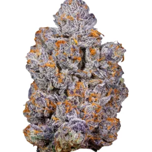 Premium THCa Flower Biscotti